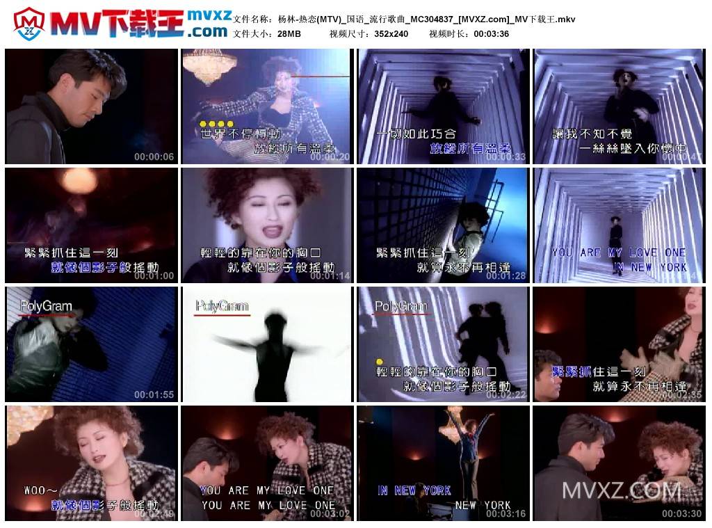 杨林-热恋(MTV)_国语_流行歌曲_MC304837